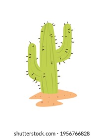 desert nature cactus plant icon