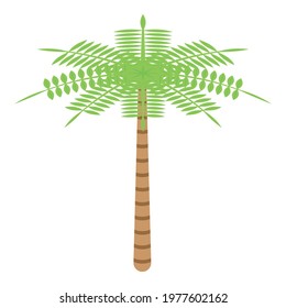 Desert palm icon. Isometric of Desert palm vector icon for web design isolated on white background