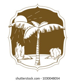 Desert palm on vintage frame