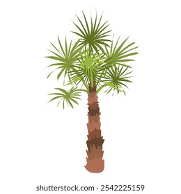 Desert palm tree in flat design. Tropical coconut tree with green leaves. Vector illustration isolated.