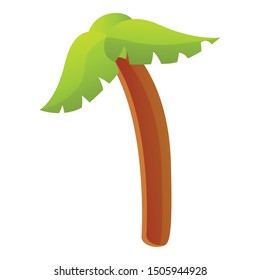 Desert palm tree icon. Cartoon of desert palm tree vector icon for web design isolated on white background