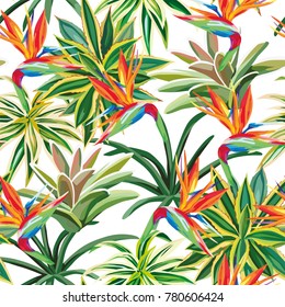 Desert Plant Cactus Tropical Flower Bird Of Paradise Seamless Pattern White Background. Beach Vector Wallpaper