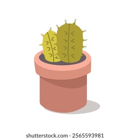 Desert plant. Florist shop. Cartoon cacti. Cactus plant. Little cactus. Mini cactus.