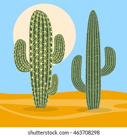 Desert plant nature cactus. Vector illustration.