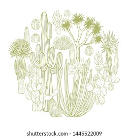 Desert plants, cacti in a circle. Vector sketch  illustration.