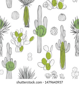 Desert plants, cacti. Vector  seamless pattern.