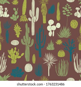 Desert plants, cacti. Vector  seamless pattern.