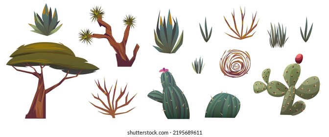 Desert Plants, Cactuses, Grass, Bushes, Tree And Tumbleweed Isolated On White Background. Green Prickly Cacti With Flowers, Acacia Tree, Dry Weed Ball, Vector Cartoon Set