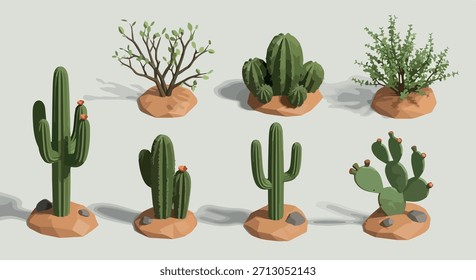 Colección de plantas del desierto con tierra arenosa