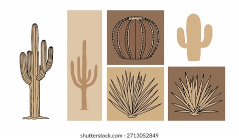 Colección de plantas del desierto con fondo transparente