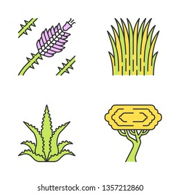 Desert Plants Color Icons Set. Exotic Flora. Ocotillo, Mexican Thread Grass, Aloe Vera, Palo Verde Tree. Isolated Vector Illustrations