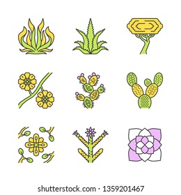 Desert Plants Color Icons Set. Exotic Flora. American Succulents And Drought Resistant Plants. Larrea, Palo Verde Tree, Aloe Vera, Agave. Isolated Vector Illustrations