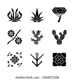 Desert plants glyph icons set. Exotic flora. American succulents and drought resistant plants. Larrea, palo verde tree, aloe vera, agave. Silhouette symbols. Vector isolated illustration