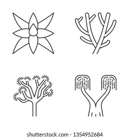 Desert plants linear icons set  Exotic flora  Fox tale agave  pencil cactus  joshua tree  ponytail palm  Thin line contour symbols  Isolated vector outline illustrations  Editable stroke