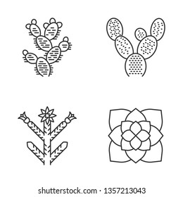 Desert plants linear icons set. Exotic flora. Bunny ear cactus, prickly pear, cholla, ghost plant. American succulents. Thin line contour symbol. Isolated vector outline illustrations. Editable stroke