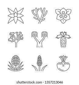 Desert plants linear icons set. Exotic flora. Yuccas, cacti, palms, agave, bush. Decorative drought resistant plants. Thin line contour symbols. Isolated vector outline illustrations. Editable stroke