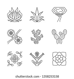 Desert plants linear icons set. Exotic flora. American succulents. Larrea, palo verde tree, aloe vera, agave. Thin line contour symbols. Isolated vector outline illustrations. Editable stroke