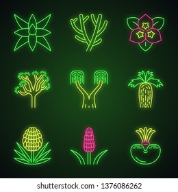 Desert plants neon light icons set. Exotic flora. Yuccas, cacti, palms, agave, bush. Decorative drought resistant plants. Glowing signs. Vector isolated illustrations