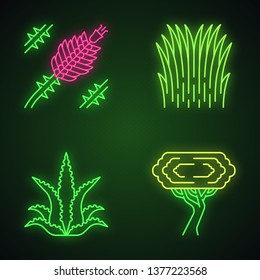 Desert Plants Neon Light Icons Set. Exotic Flora. Ocotillo, Mexican Thread Grass, Aloe Vera, Palo Verde Tree. Glowing Signs. Vector Isolated Illustrations