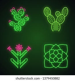 Desert plants neon light icons set. Exotic flora. Bunny ear cactus, prickly pear, cholla, ghost plant. American succulents. Glowing signs. Vector isolated illustrations