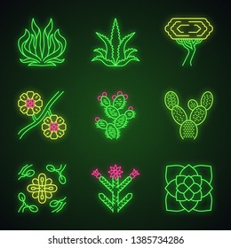 Desert Plants Neon Light Icons Set. Exotic Flora. American Succulents And Drought Resistant Plants. Larrea, Palo Verde Tree, Aloe Vera, Agave. Glowing Signs. Vector Isolated Illustrations