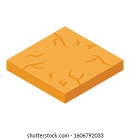 Desert portion ground icon. Isometric of desert portion ground vector icon for web design isolated on white background