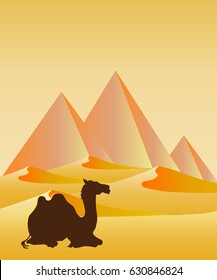 desert with pyramids and a camel