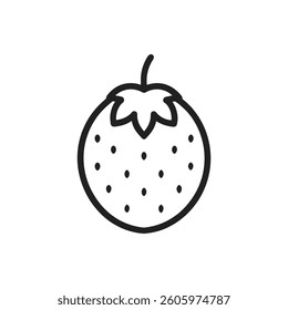 Desert quandong fruit outline icon on white beckground.