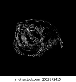 desert rain frog hand drawing vector isolated on black background.