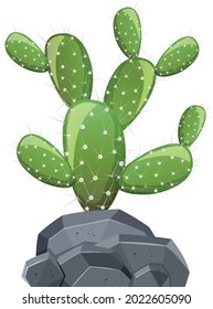 Desert with rock and cactus vector art and illustration