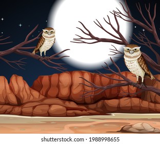 Desert with rock mountains and burrowing owl landscape at night scene illustration