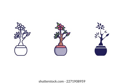 desert rose bonsai line and solid illustration icon
