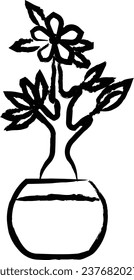 desert rose bonsai vector illustration