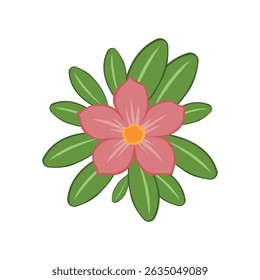 Desert Rose Flower Illustration Pink Blossom with Lush Green Leaves