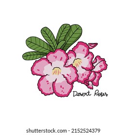 Desert Roses flower vector illustration