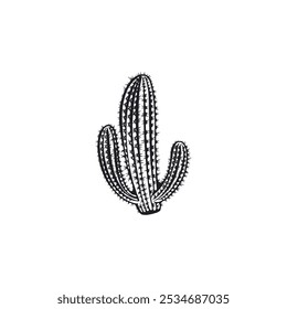 Desert Saguaro cactus black contour icon. Succulent prickly plant. Cartoon exotic tropical Cacti. Summer nature vector hand drawn illustration isolated on white. American gothic theme ink style