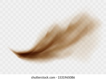 Desert Sandstorm, Brown Dusty Cloud Or Dry Sand Flying With Gust Of Wind, Big Explosion Realistic Texture Vector Illustration Isolated On Transparent Background