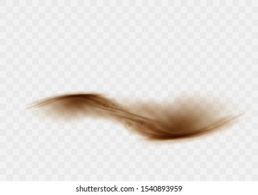 Desert sandstorm, brown dusty cloud or dry sand flying with gust of wind, explosion realistic texture vector illustration isolated on transparent background