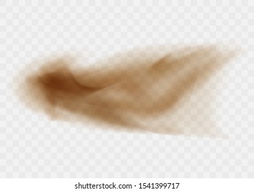 Desert sandstorm, brown dusty cloud or dry sand flying with gust of wind, big explosion realistic texture vector illustration isolated on transparent background