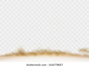 Desert sandstorm, brown dusty cloud border or dry sand flying with gust of wind, brown smoke realistic texture with small particles or grains vector illustration isolated on transparent background