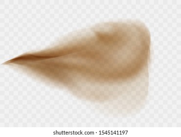 Desert sandstorm, brown dusty cloud or dry sand flying with gust of wind, explosion realistic texture vector illustration isolated on transparent background