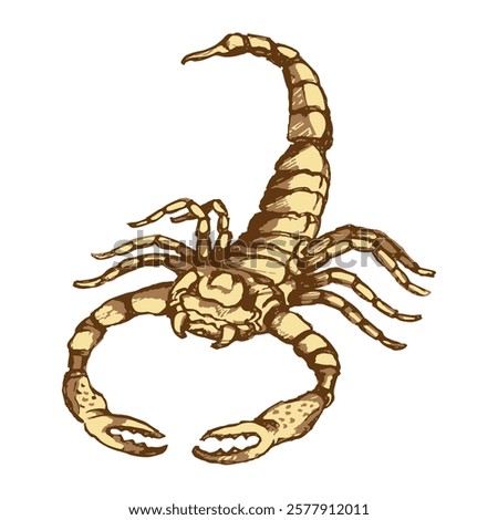 Desert scorpion. Sketch, outline, engraving effect. Vector illustration