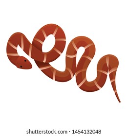 Desert snake icon. Cartoon of desert snake vector icon for web design isolated on white background