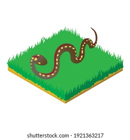 Desert snake icon. Isometric illustration of desert snake vector icon for web