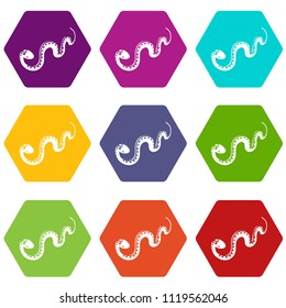 Desert snake icons 9 set coloful isolated on white for web