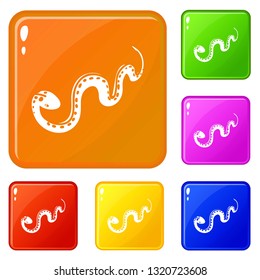 Desert snake icons set collection vector 6 color isolated on white background