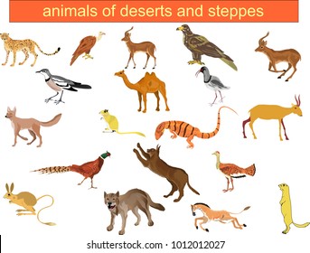 Desert and steppe animals vector big set.