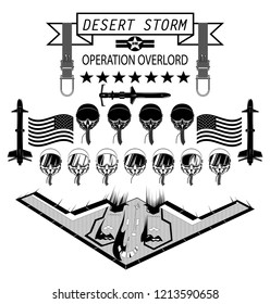 Desert Storm Operation Overlord Stealth Plane Professional Pilots