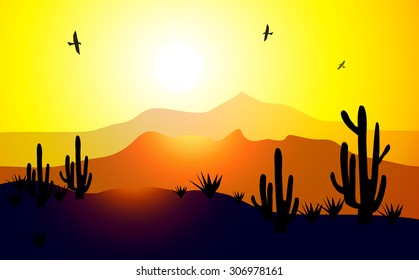 Desert Sunset