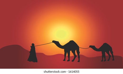 desert at sunset with man and camels